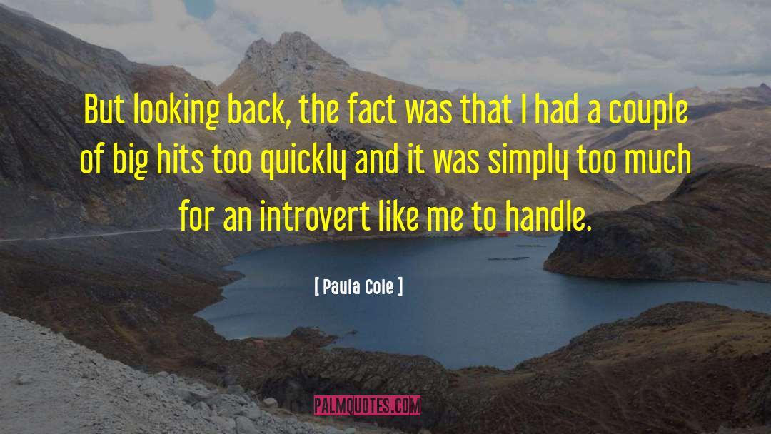 Paula Cole Quotes: But looking back, the fact