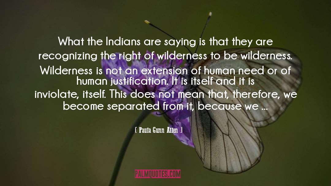 Paula Gunn Allen Quotes: What the Indians are saying