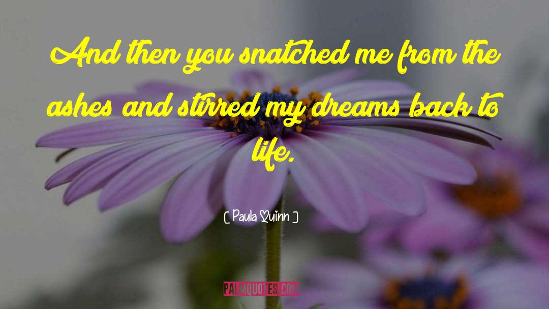 Paula Quinn Quotes: And then you snatched me