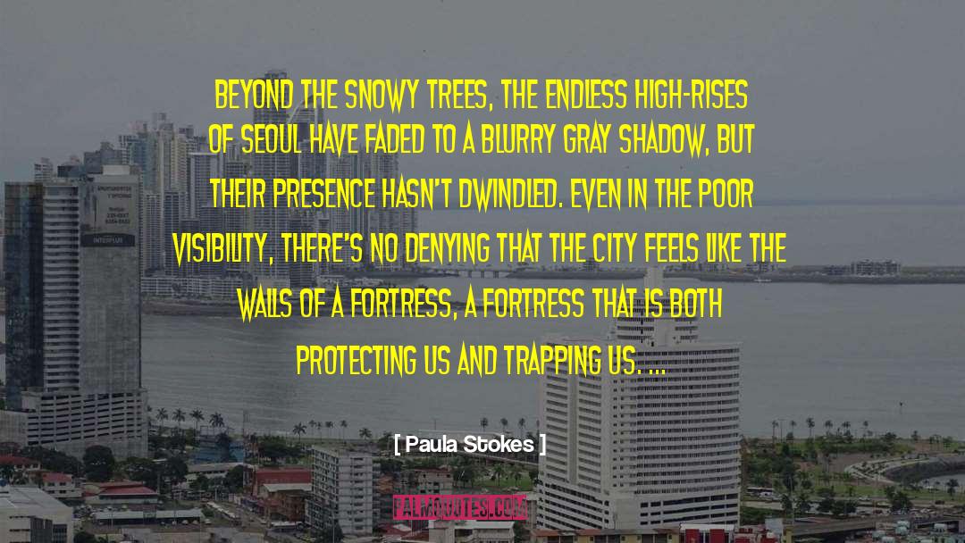 Paula Stokes Quotes: Beyond the snowy trees, the