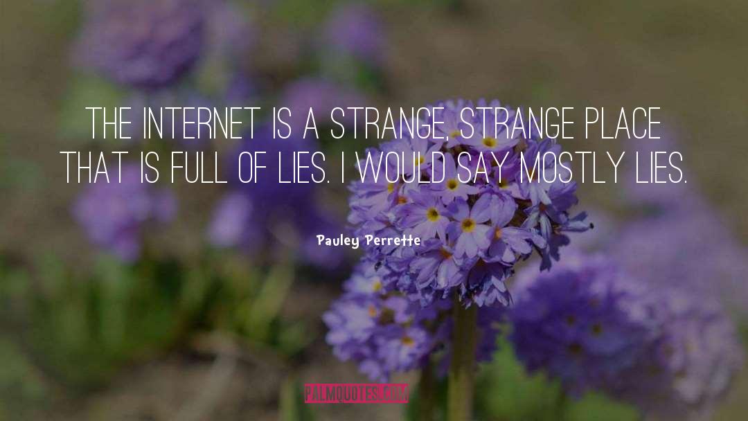 Pauley Perrette Quotes: The Internet is a strange,