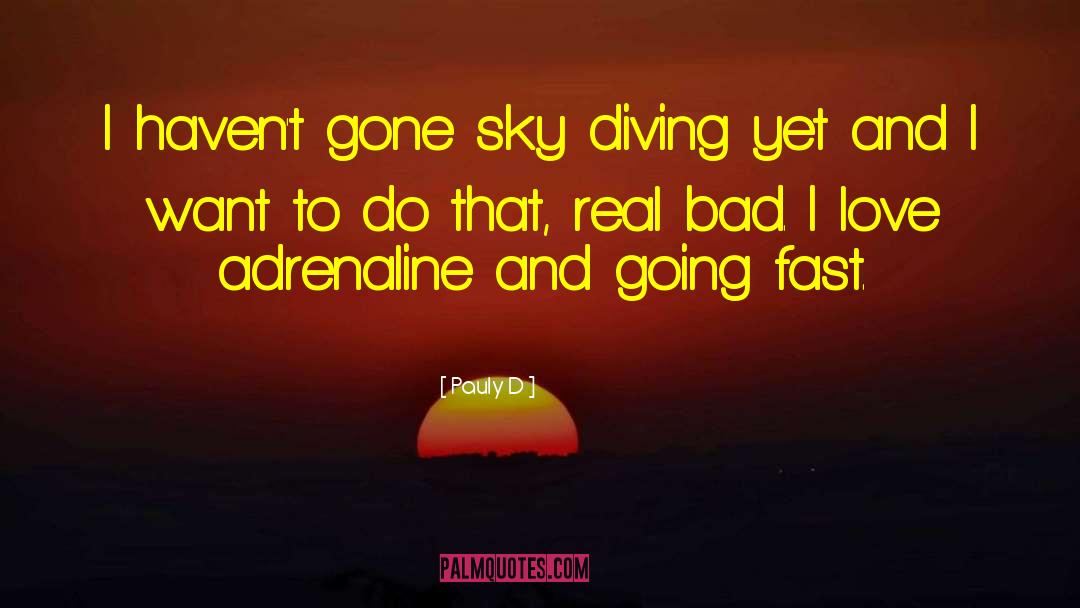 Pauly D Quotes: I haven't gone sky diving