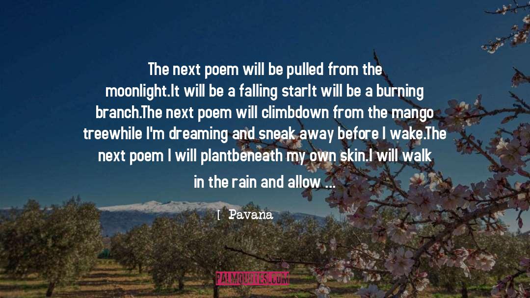 Pavana पवन Quotes: The next poem will be
