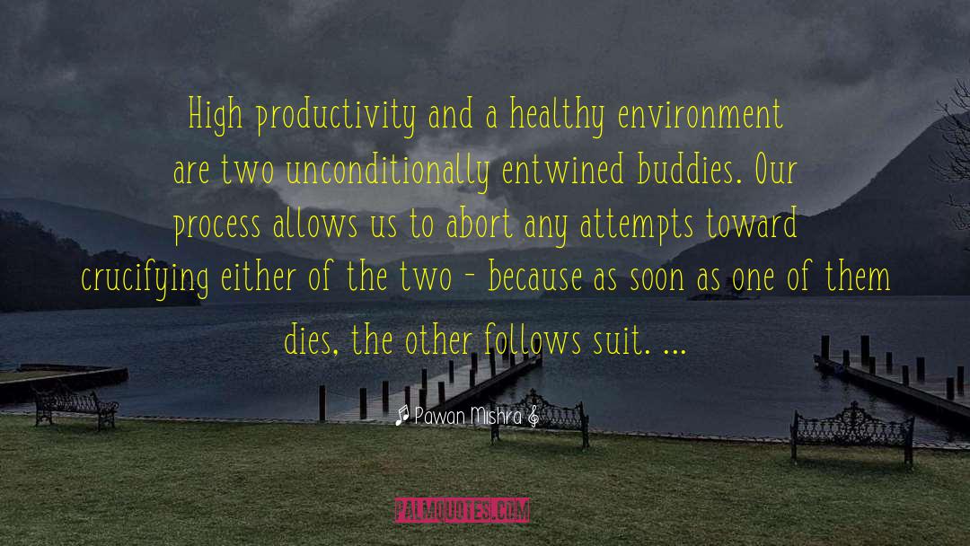 Pawan Mishra Quotes: High productivity and a healthy