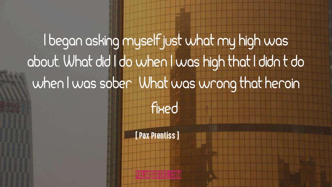 Pax Prentiss Quotes: I began asking myself just