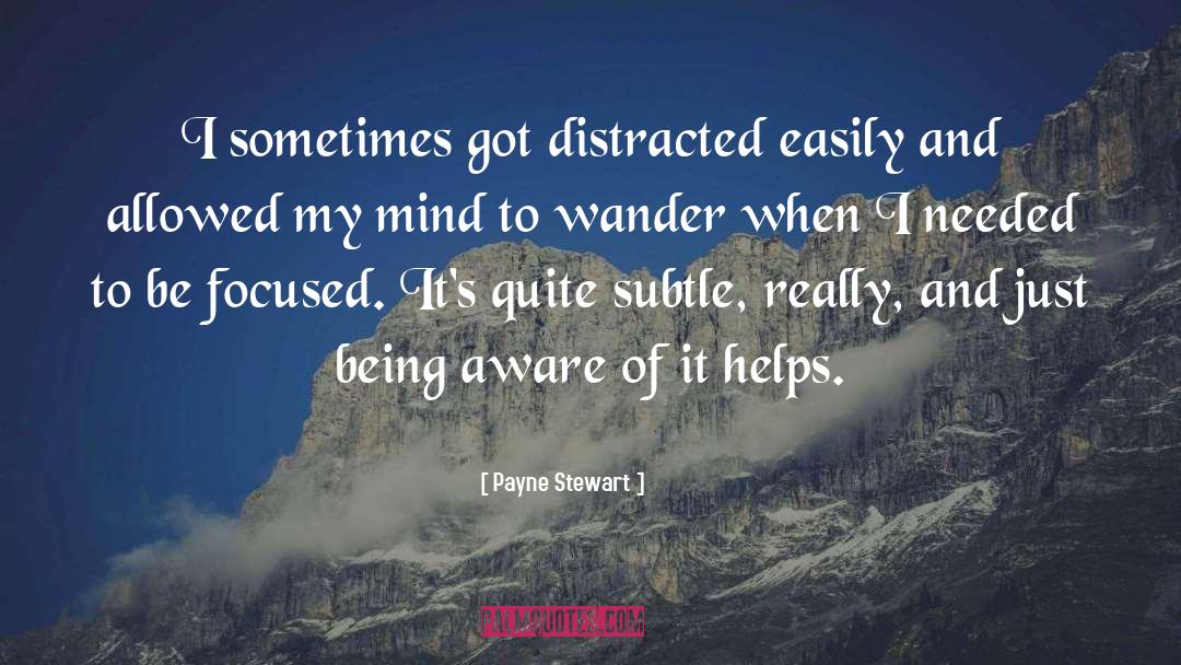 Payne Stewart Quotes: I sometimes got distracted easily