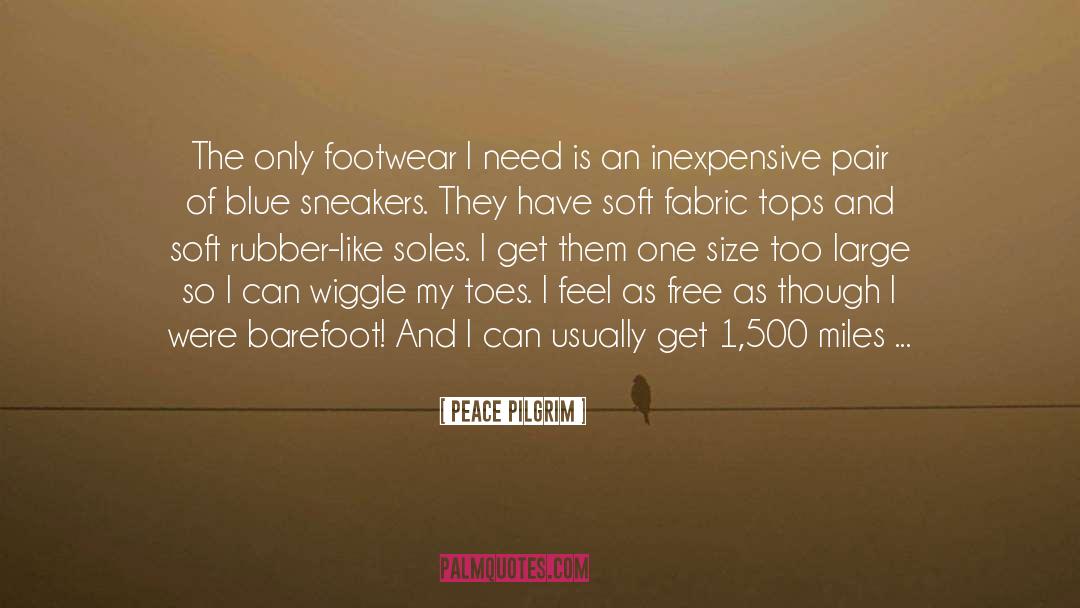 Peace Pilgrim Quotes: The only footwear I need