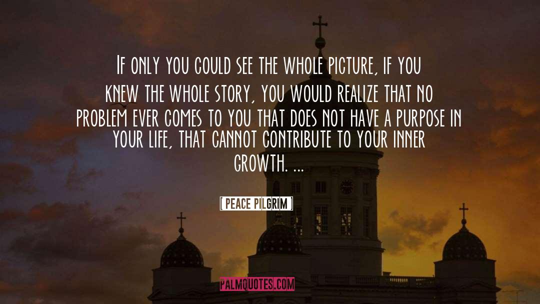 Peace Pilgrim Quotes: If only you could see