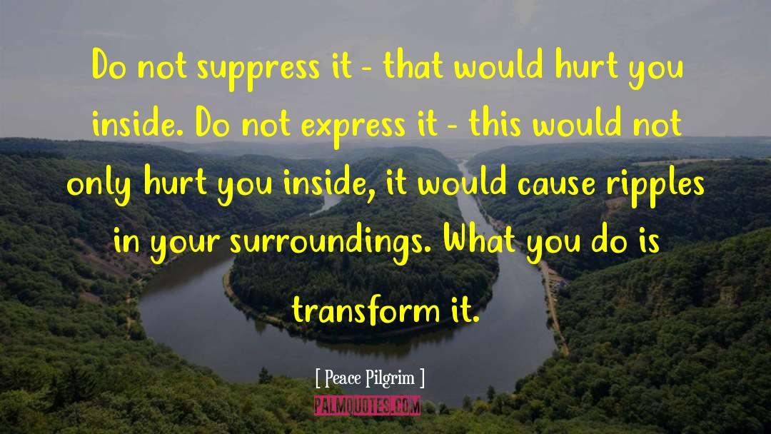 Peace Pilgrim Quotes: Do not suppress it -