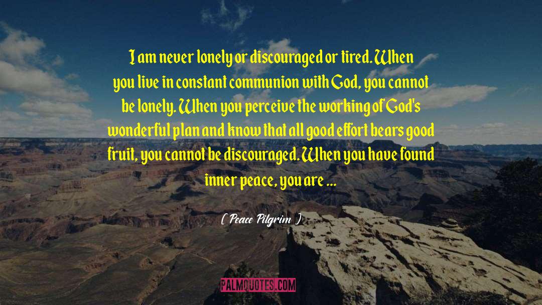 Peace Pilgrim Quotes: I am never lonely or