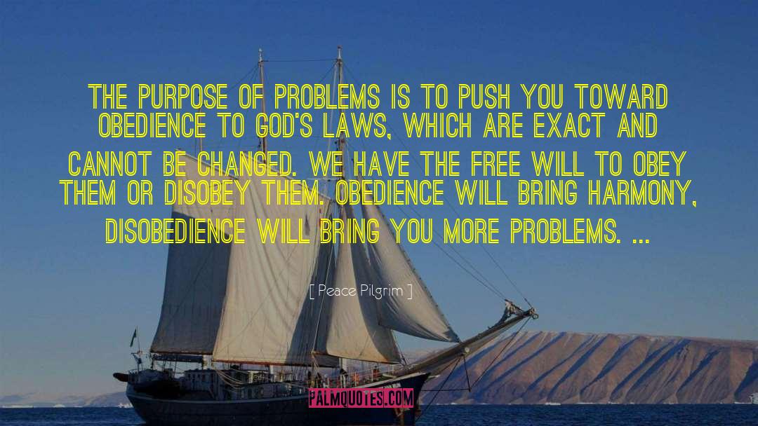 Peace Pilgrim Quotes: The purpose of problems is