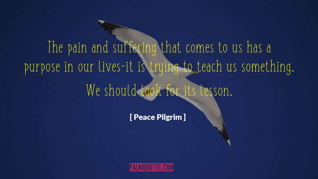 Peace Pilgrim Quotes: The pain and suffering that