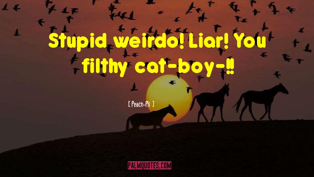 Peach-Pit Quotes: Stupid weirdo! Liar! You filthy