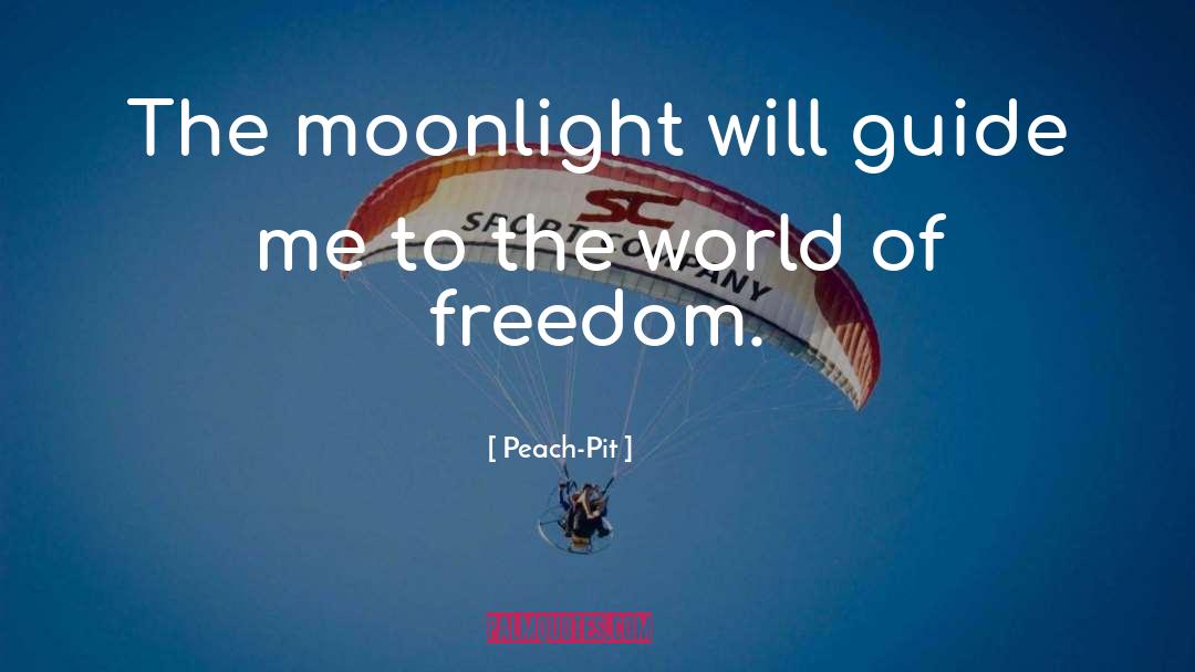 Peach-Pit Quotes: The moonlight will guide me