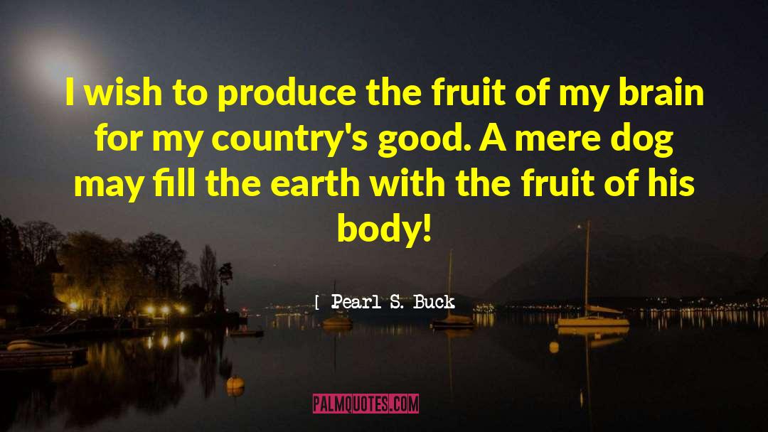 Pearl S. Buck Quotes: I wish to produce the