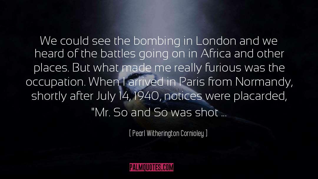 Pearl Witherington Cornioley Quotes: We could see the bombing