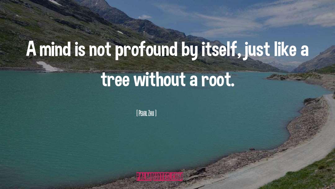 Pearl Zhu Quotes: A mind is not profound