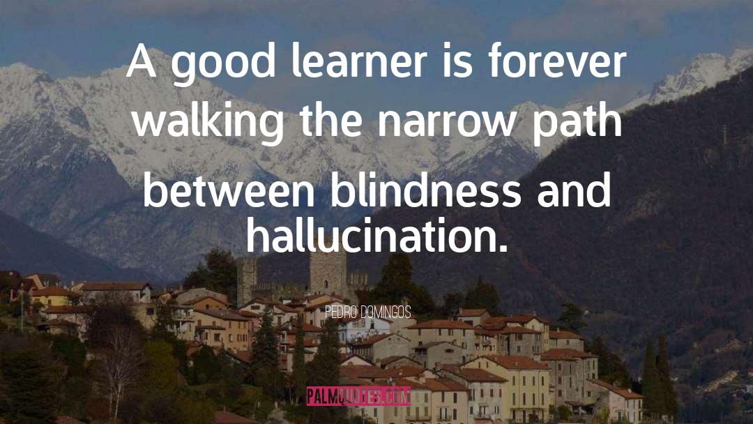 Pedro Domingos Quotes: A good learner is forever
