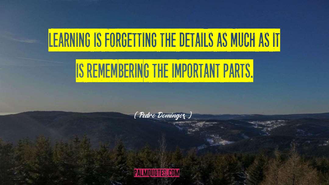 Pedro Domingos Quotes: Learning is forgetting the details