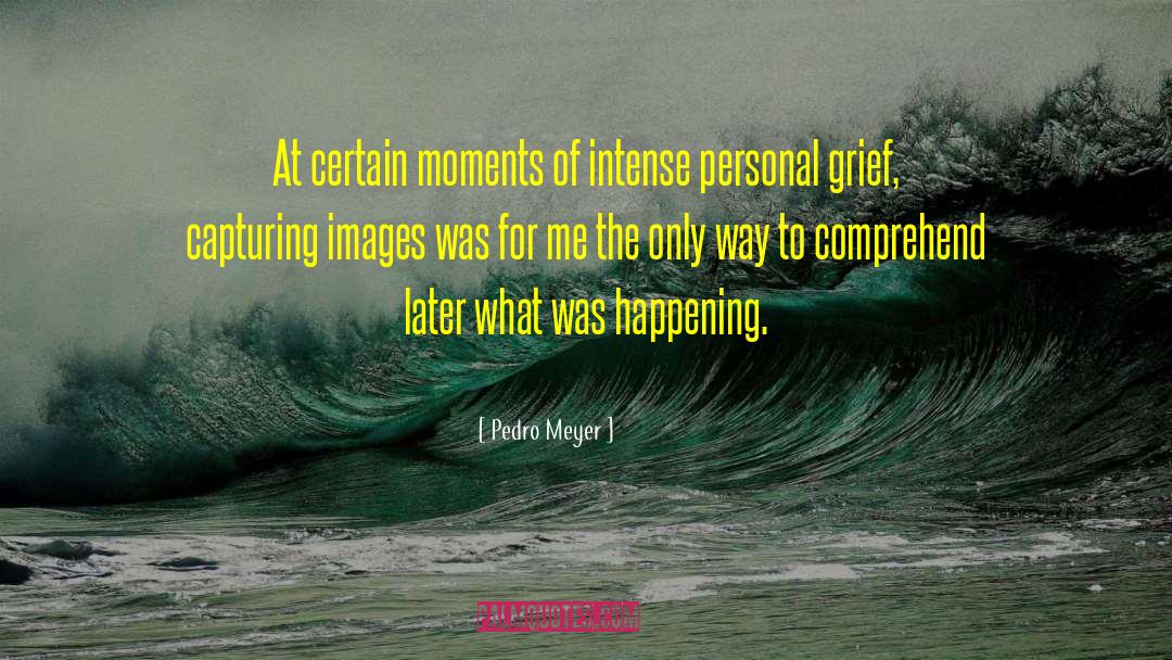 Pedro Meyer Quotes: At certain moments of intense