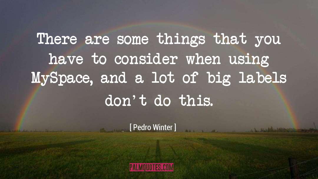 Pedro Winter Quotes: There are some things that