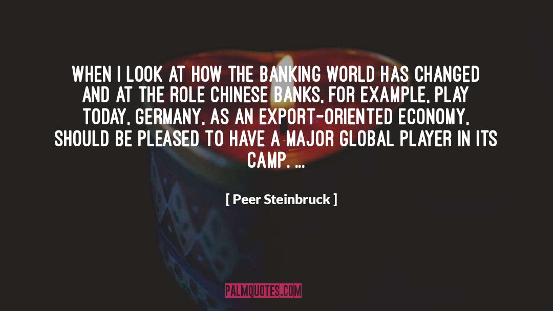 Peer Steinbruck Quotes: When I look at how