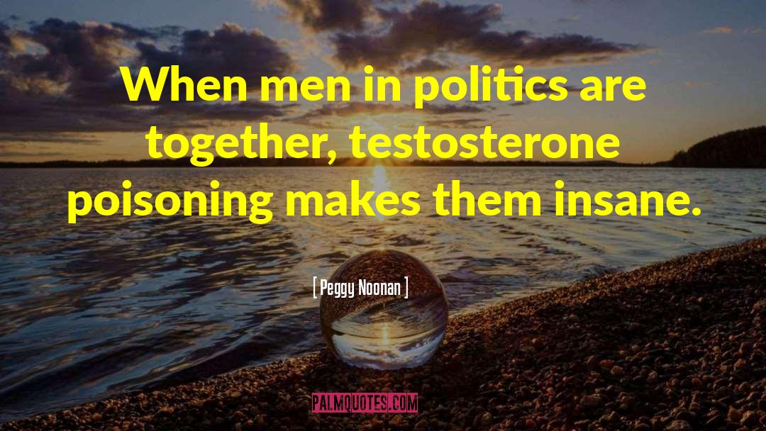 Peggy Noonan Quotes: When men in politics are