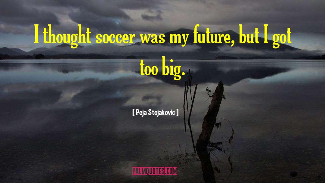 Peja Stojakovic Quotes: I thought soccer was my