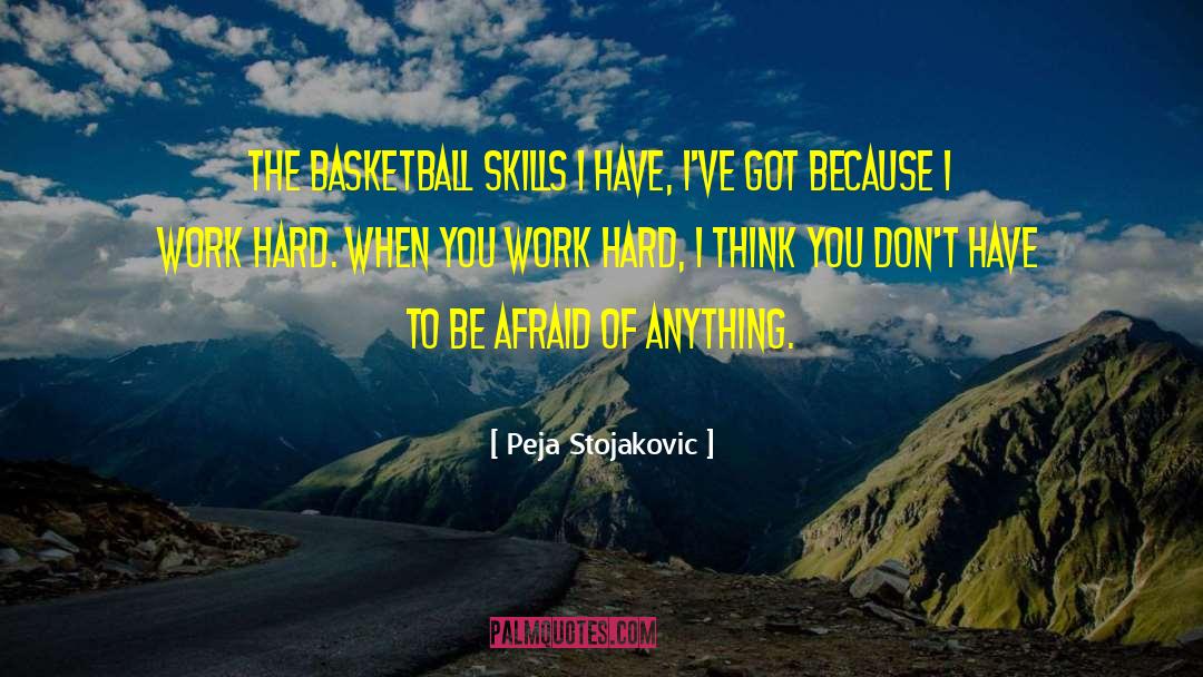 Peja Stojakovic Quotes: The basketball skills I have,