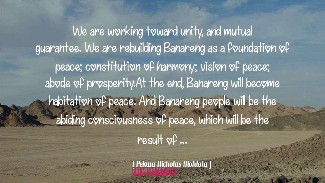 Pekwa Nicholas Mohlala Quotes: We are working toward unity,