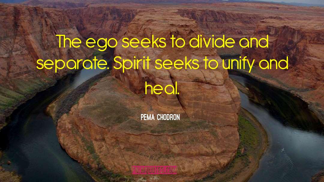 Pema Chodron Quotes: The ego seeks to divide