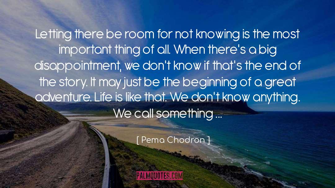 Pema Chodron Quotes: Letting there be room for