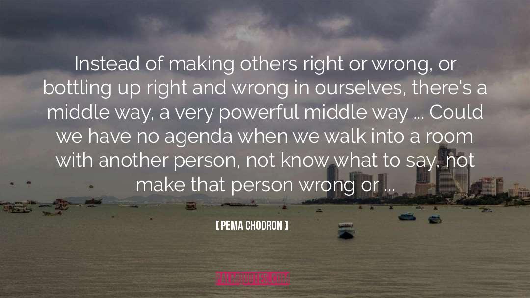 Pema Chodron Quotes: Instead of making others right