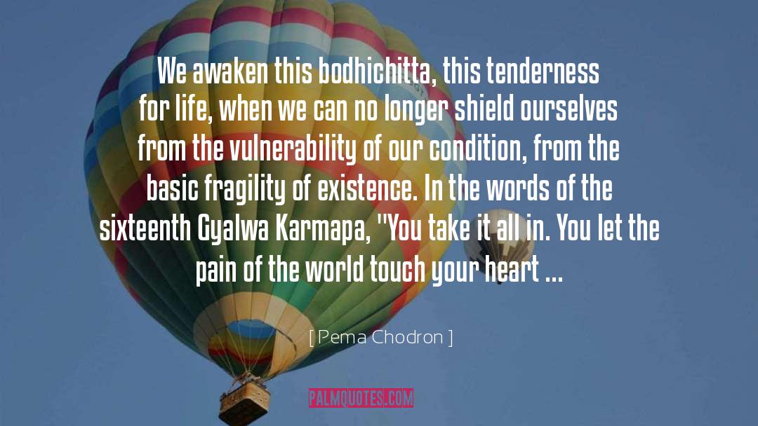 Pema Chodron Quotes: We awaken this bodhichitta, this