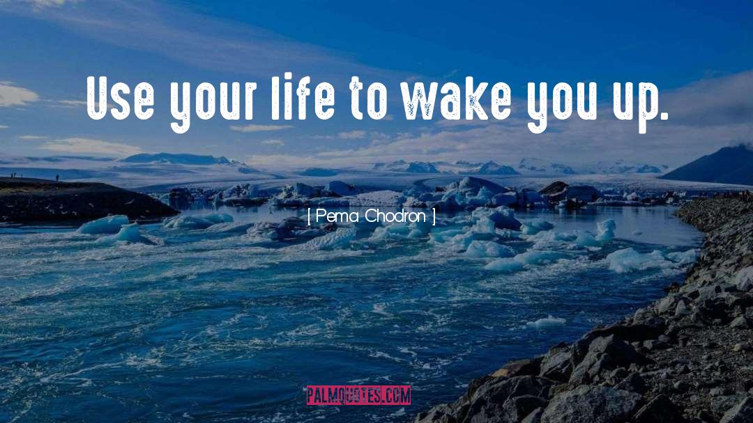 Pema Chodron Quotes: Use your life to wake