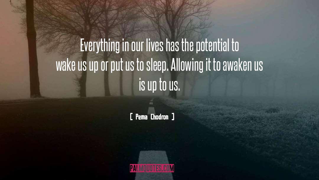 Pema Chodron Quotes: Everything in our lives has