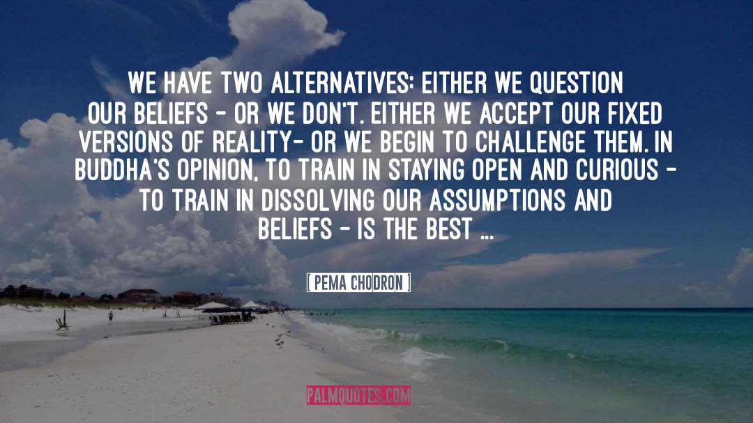 Pema Chodron Quotes: We have two alternatives: either