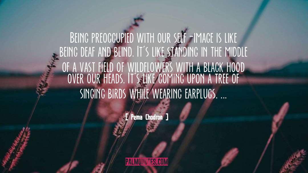 Pema Chodron Quotes: Being preoccupied with our self-image