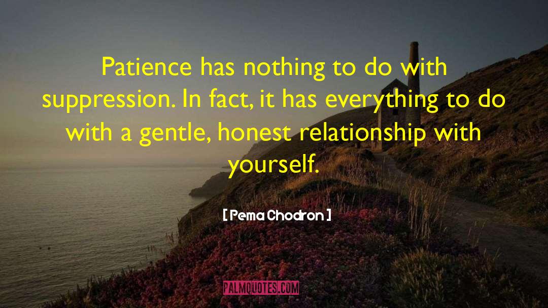 Pema Chodron Quotes: Patience has nothing to do