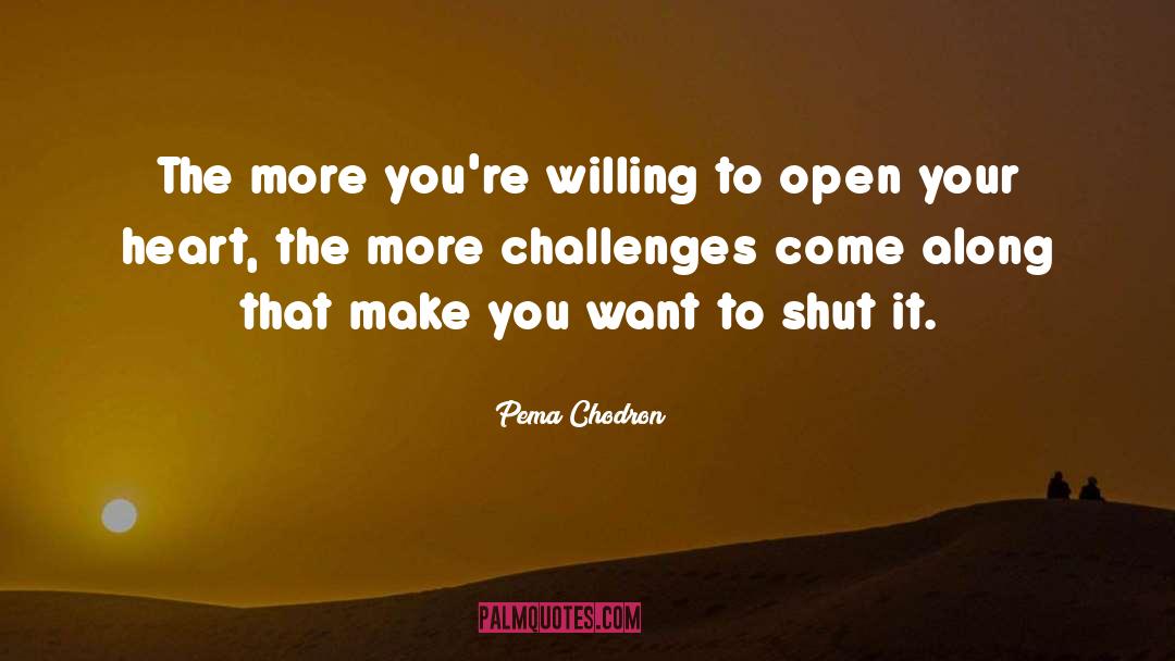 Pema Chodron Quotes: The more you're willing to