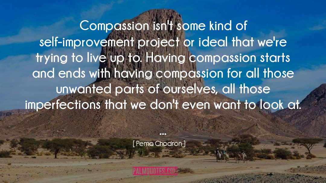 Pema Chodron Quotes: Compassion isn't some kind of