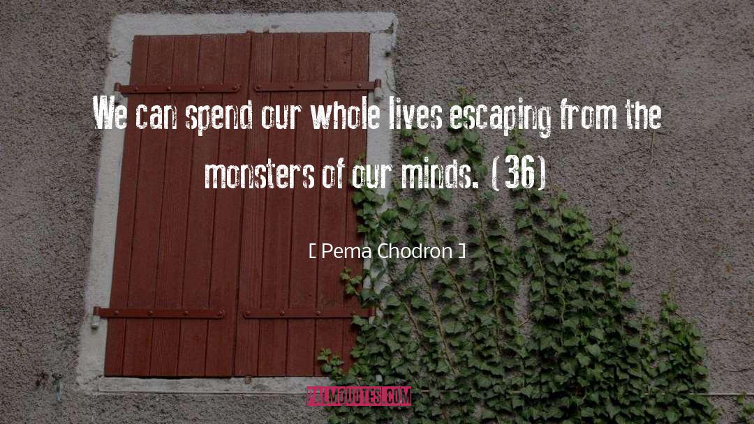 Pema Chodron Quotes: We can spend our whole