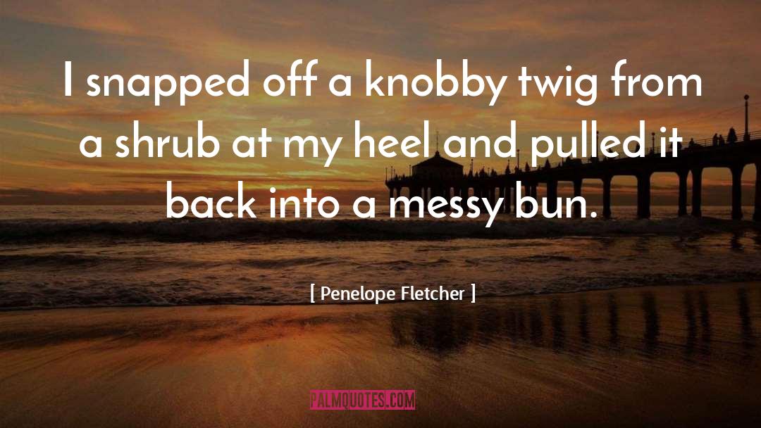 Penelope Fletcher Quotes: I snapped off a knobby