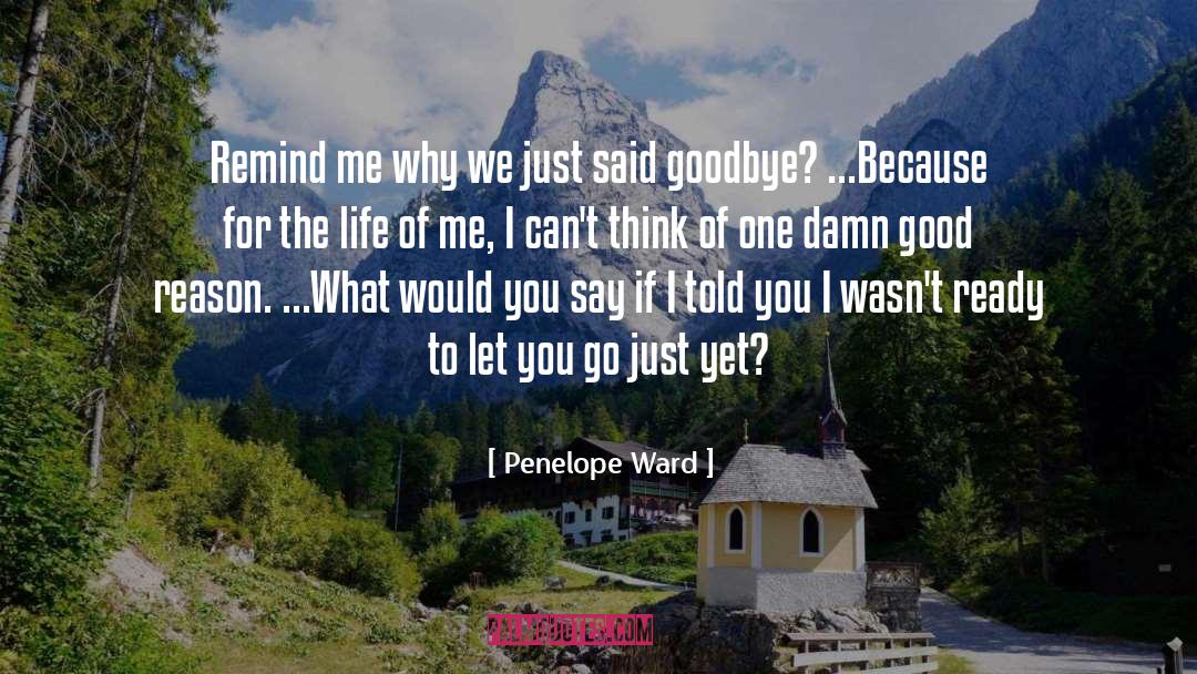 Penelope Ward Quotes: Remind me why we just