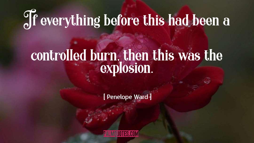 Penelope Ward Quotes: If everything before this had