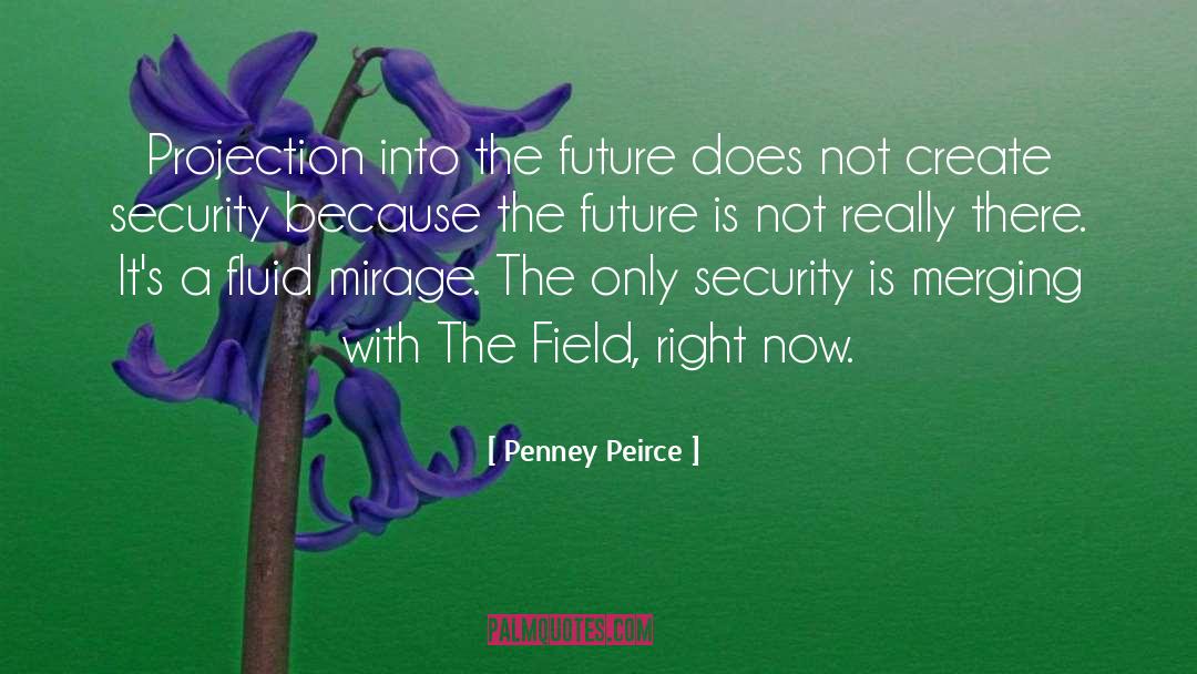 Penney Peirce Quotes: Projection into the future does
