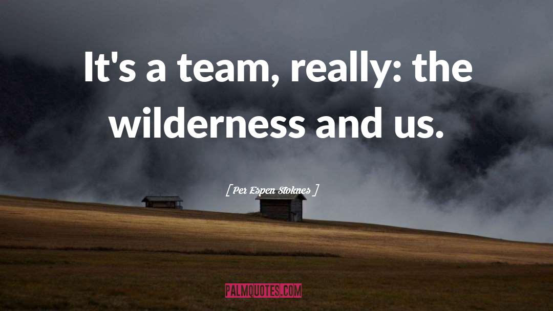 Per Espen Stoknes Quotes: It's a team, really: the