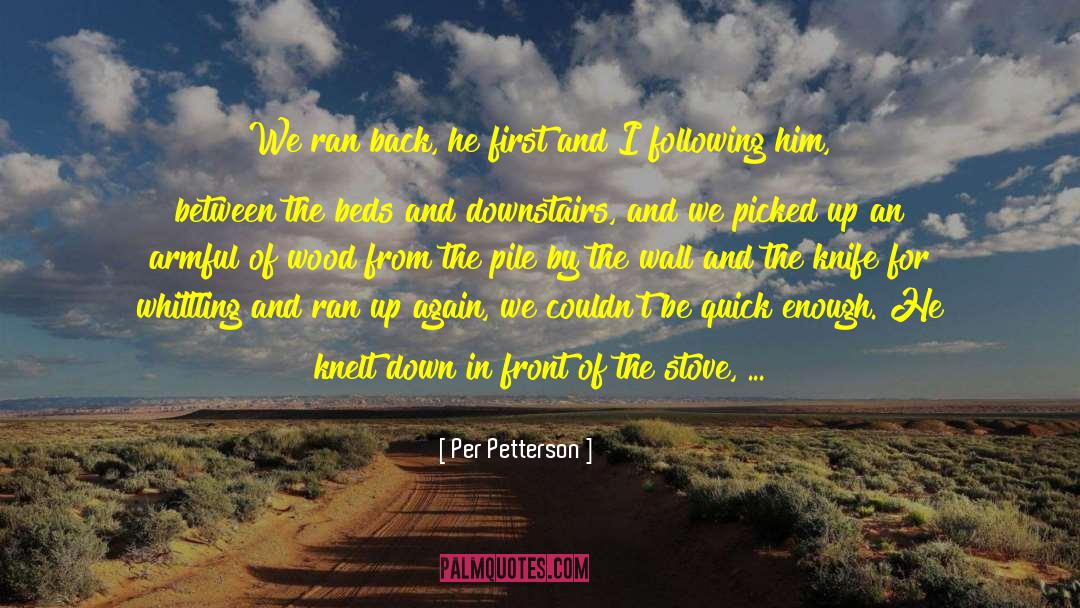 Per Petterson Quotes: We ran back, he first