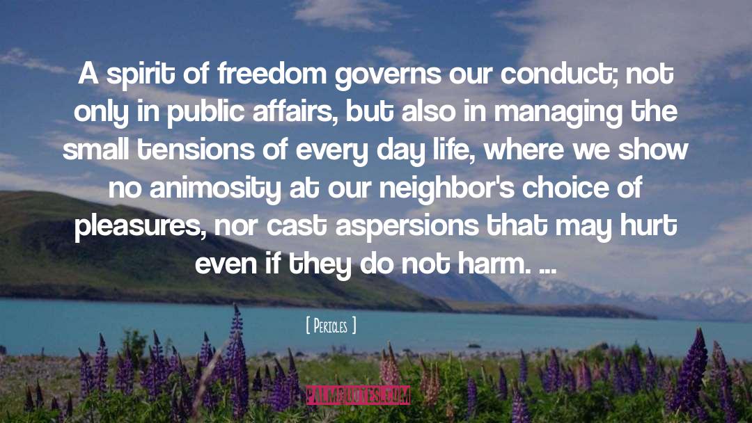 Pericles Quotes: A spirit of freedom governs
