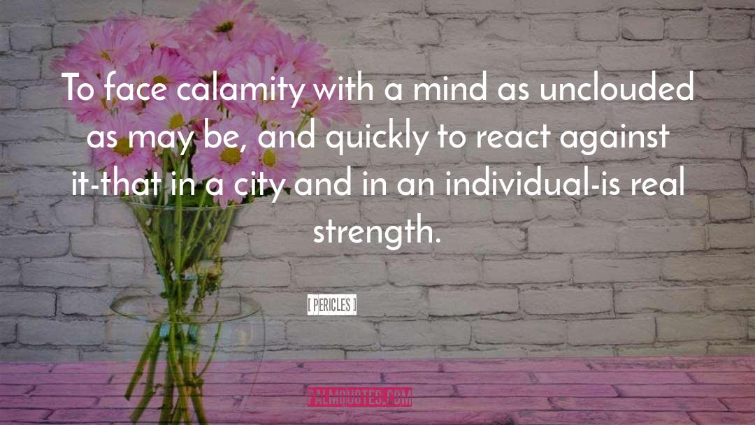 Pericles Quotes: To face calamity with a